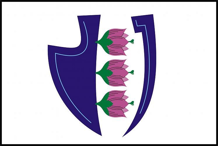 Vlajka
