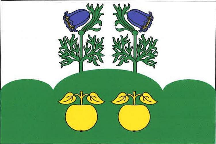 Vlajka