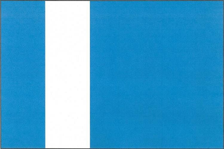 Vlajka