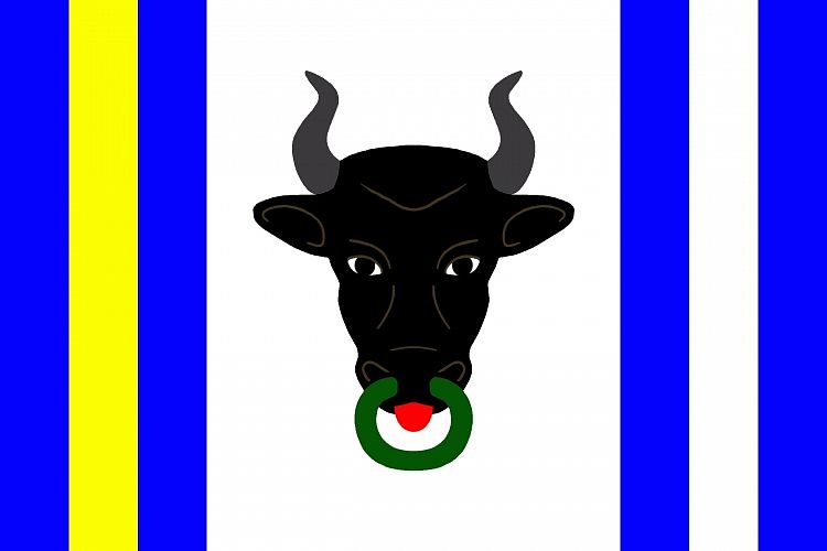 Vlajka