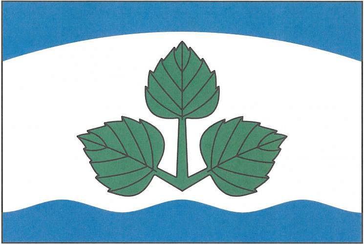 Vlajka