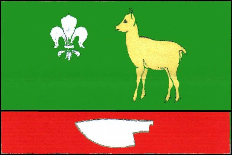 Vlajka