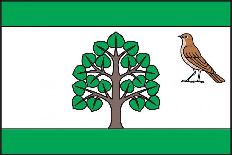 Vlajka