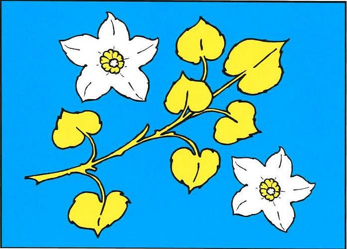 Vlajka