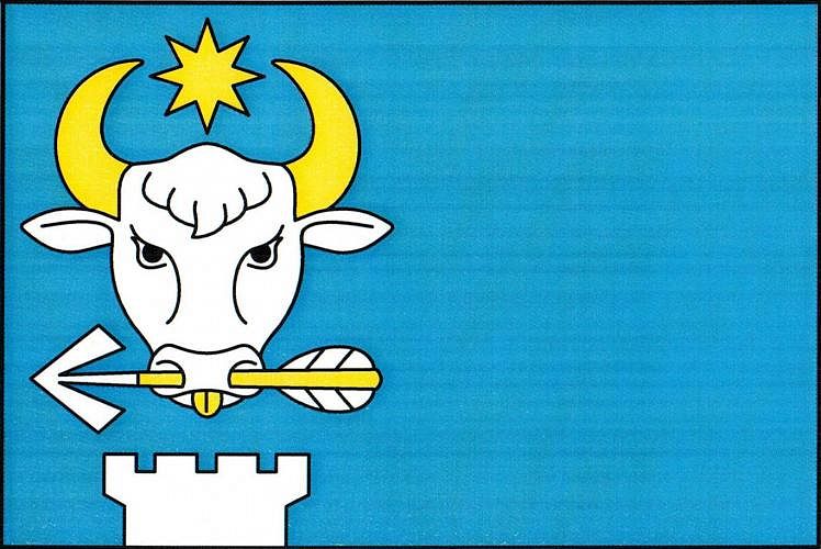 Vlajka