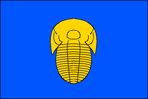 Vlajka