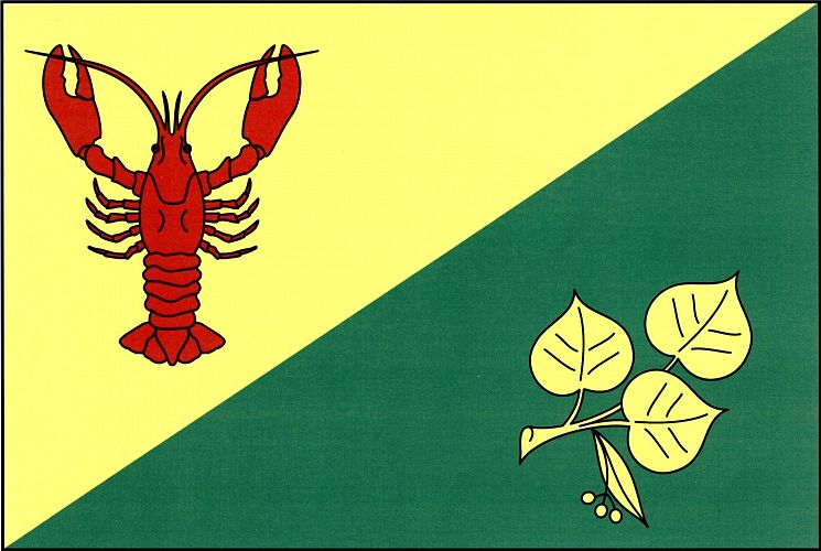 Vlajka