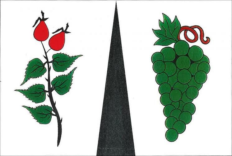 Vlajka