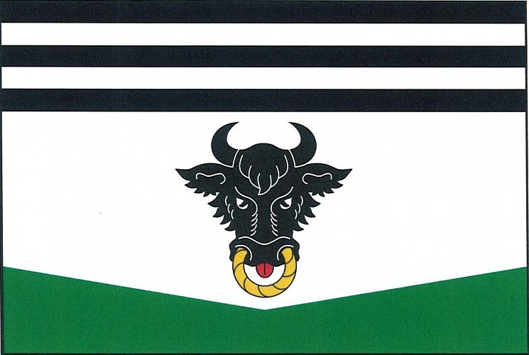 Vlajka