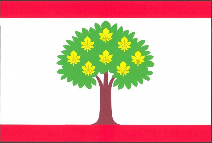 Vlajka