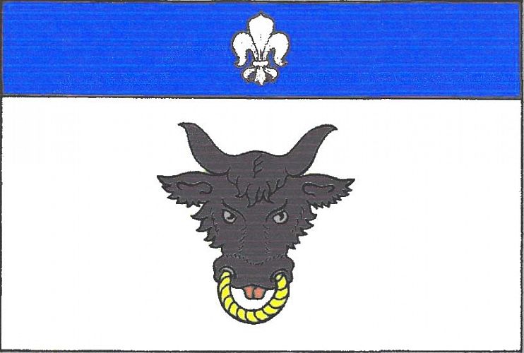 Vlajka