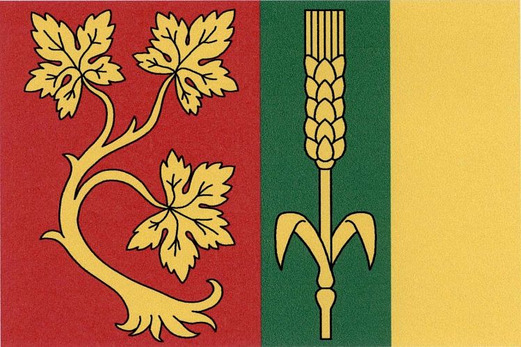 Vlajka