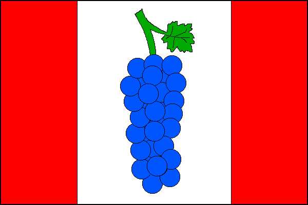 Vlajka