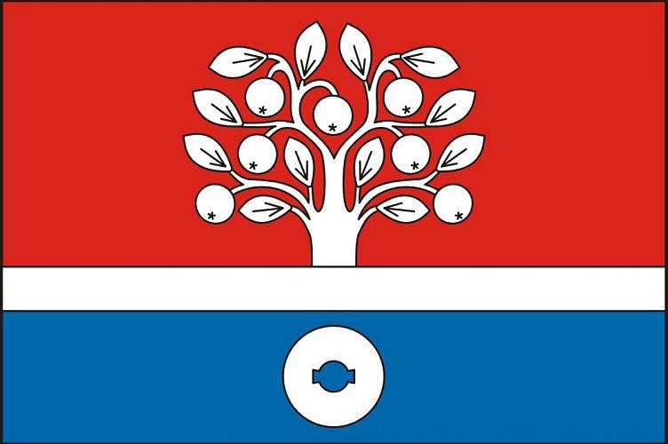 Vlajka