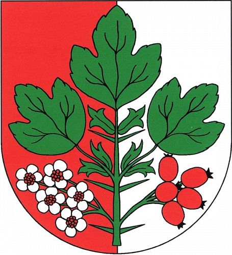 Znak