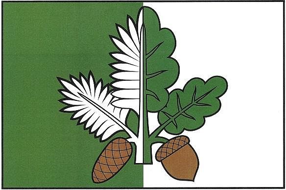 Vlajka
