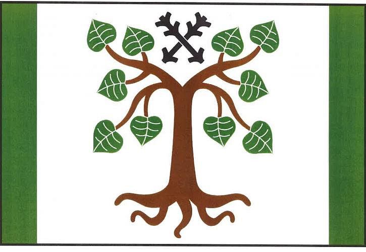 Vlajka
