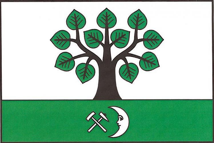 Vlajka