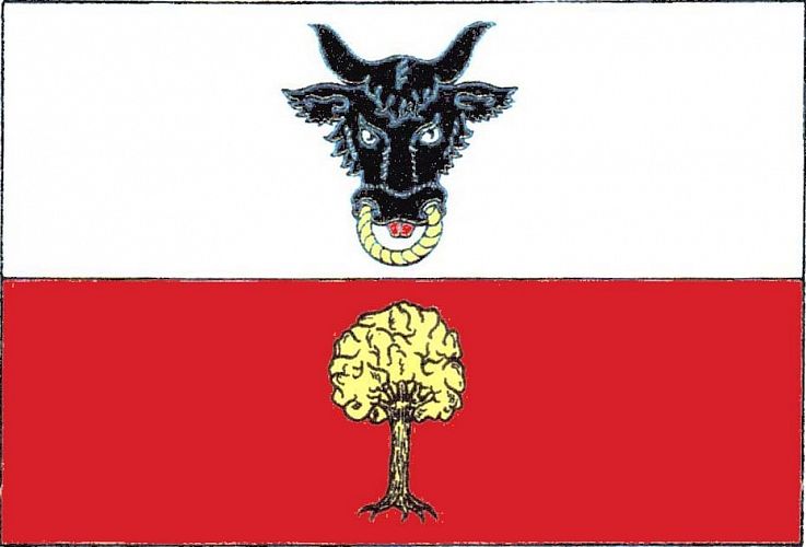 Vlajka