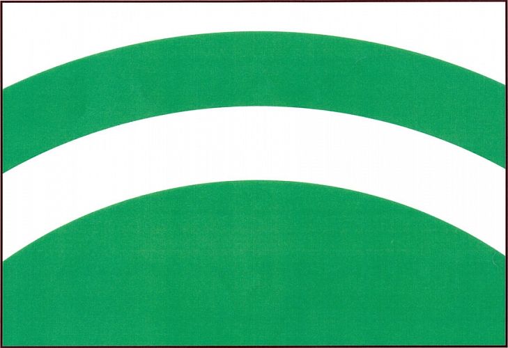 Vlajka