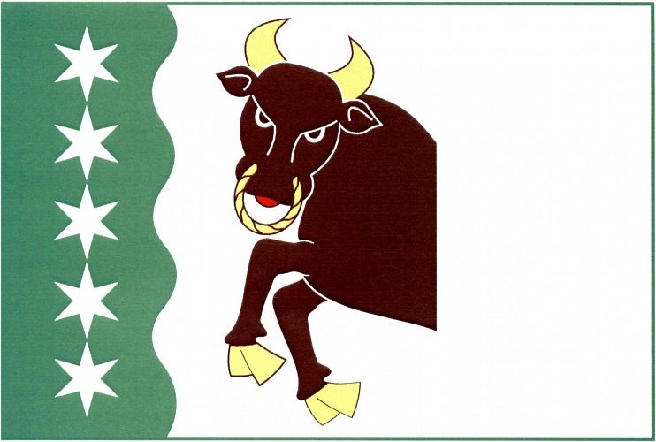 Vlajka