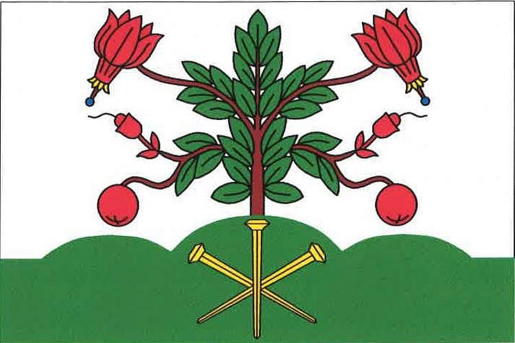 Vlajka