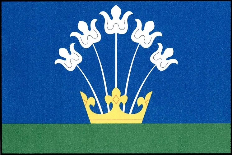 Vlajka