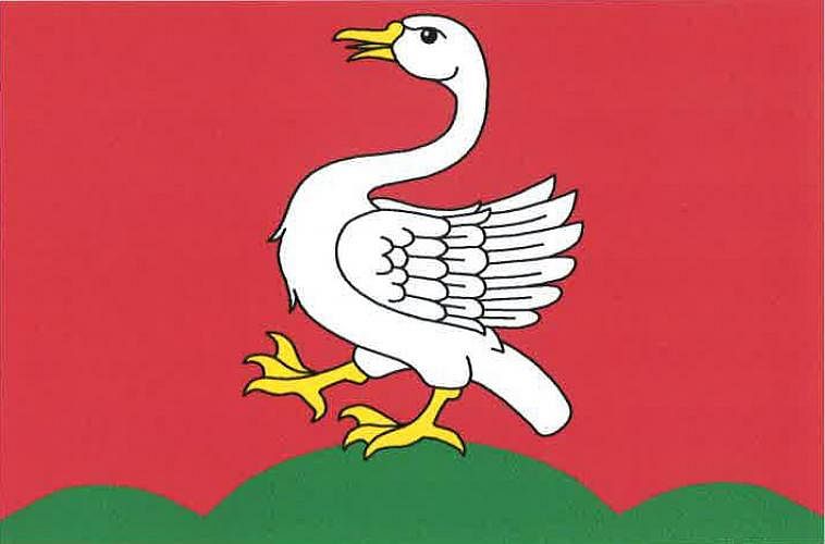 Vlajka