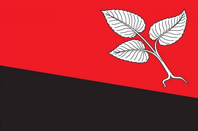Vlajka