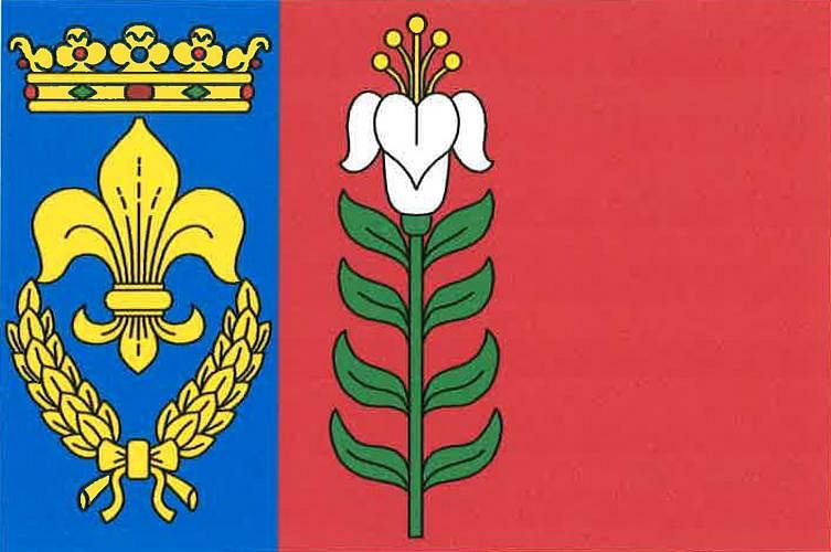 Vlajka