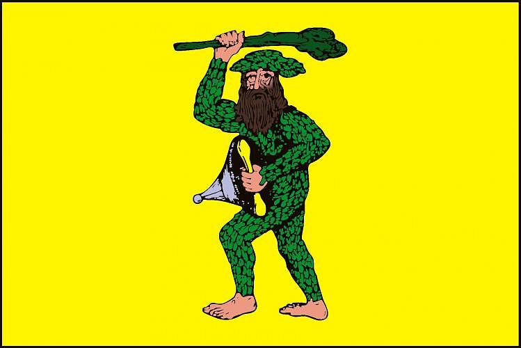 Vlajka