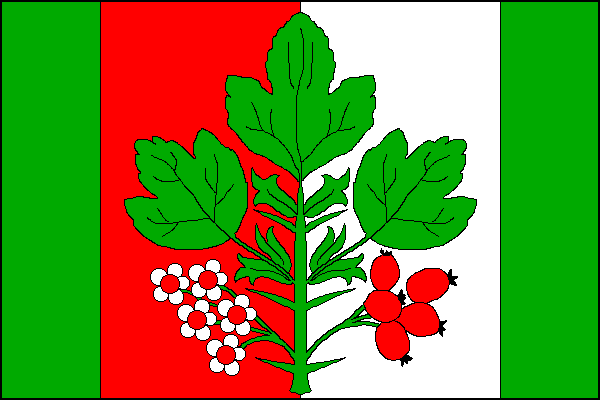 Vlajka