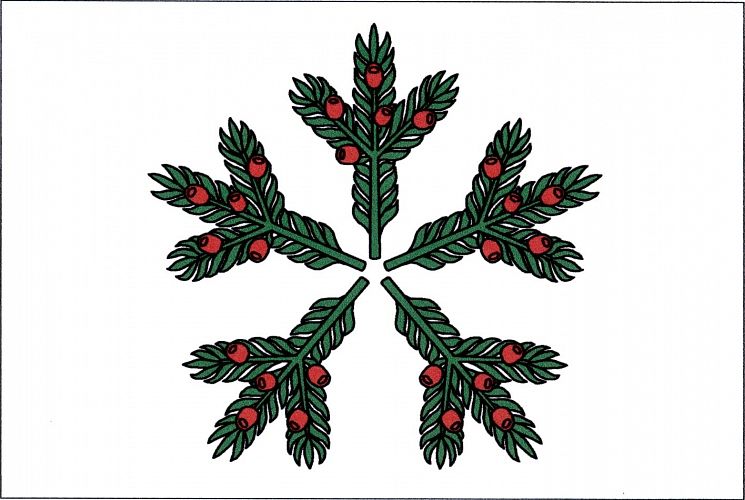 Vlajka