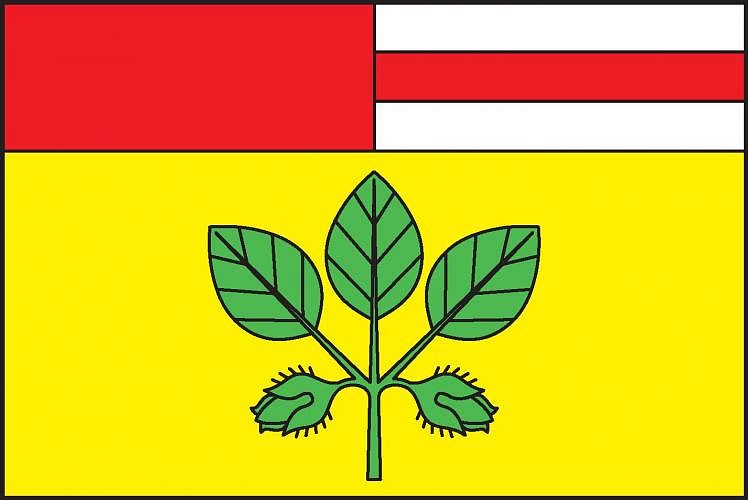 Vlajka