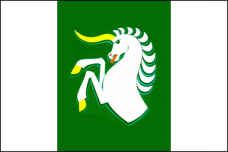 Vlajka