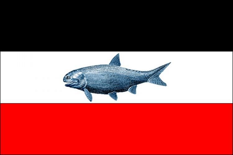 Vlajka