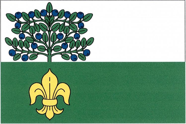 Vlajka