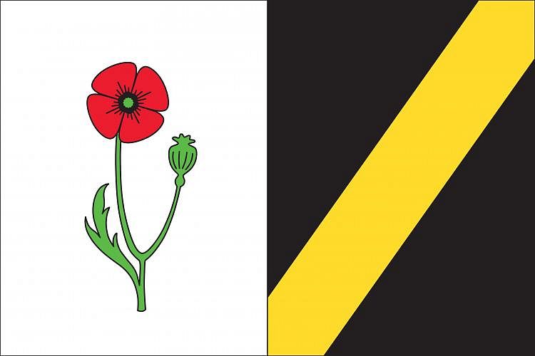 Vlajka