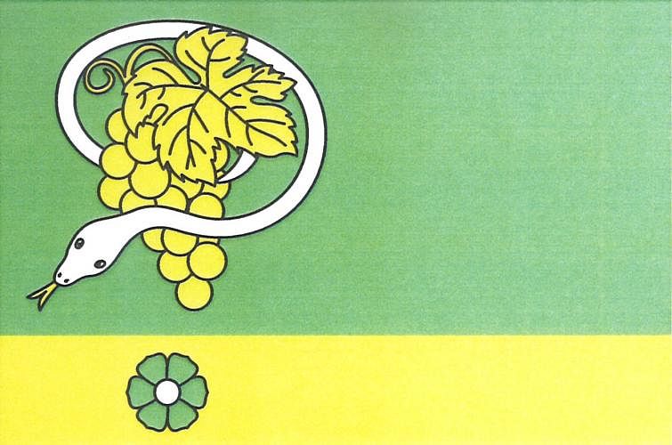 Vlajka