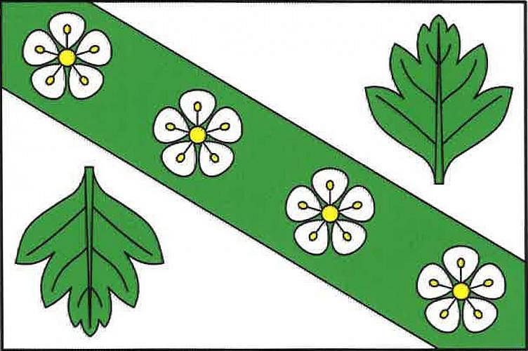 Vlajka
