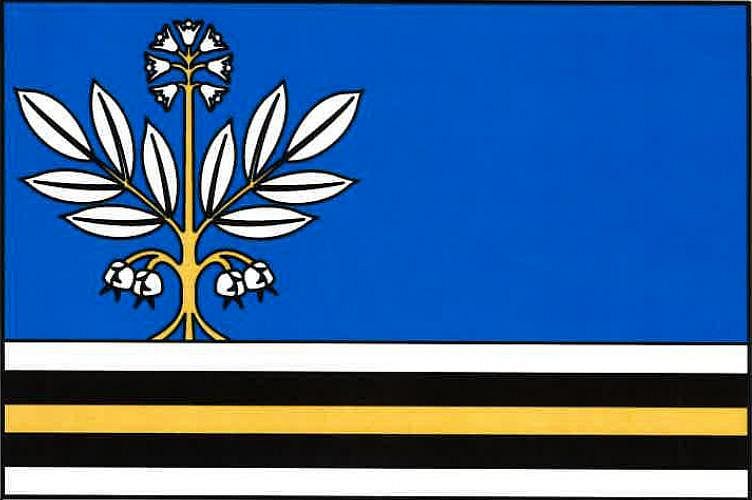 Vlajka
