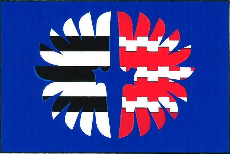 Vlajka