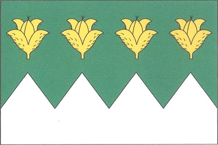 Vlajka