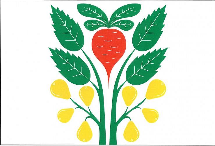 Vlajka