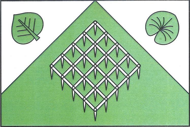 Vlajka