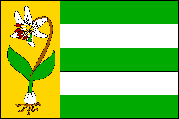 Vlajka