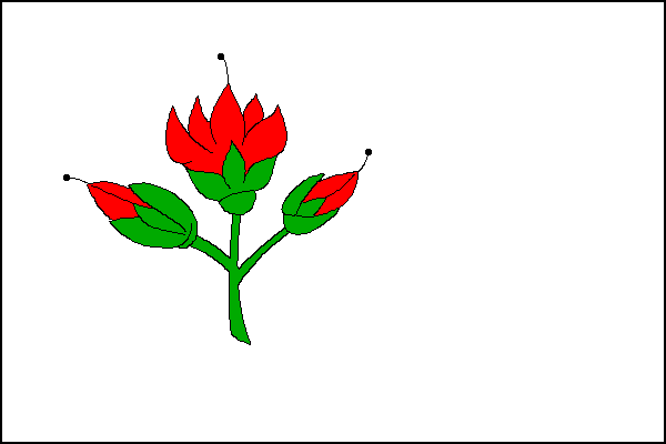 Vlajka