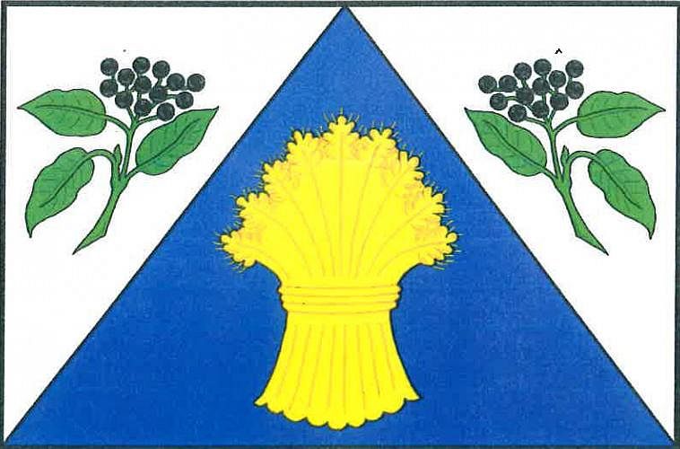 Vlajka