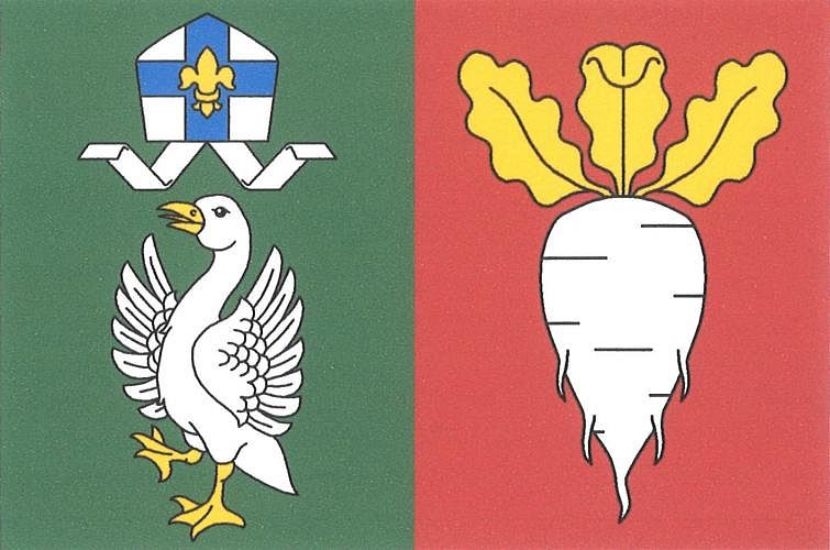 Vlajka