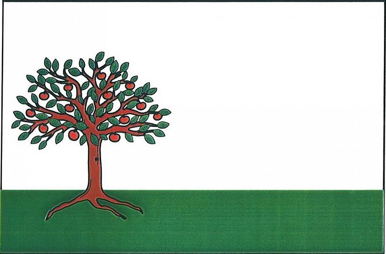 Vlajka
